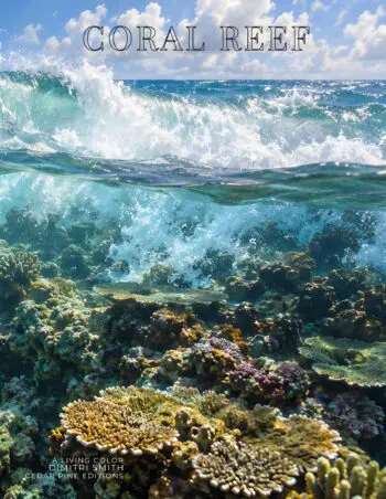 Coffee Table Book of: Coral Reef (Hardcover)