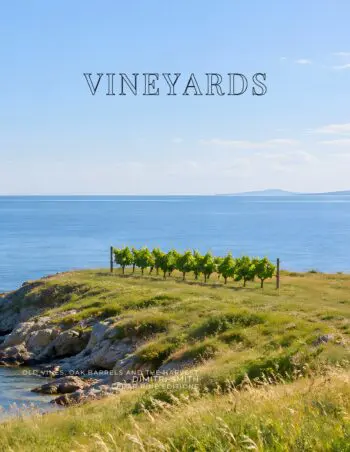 Coffee Table Book of: Vineyards (Paperback)