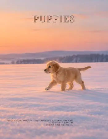 Coffee Table Book of: Puppies (Paperback)
