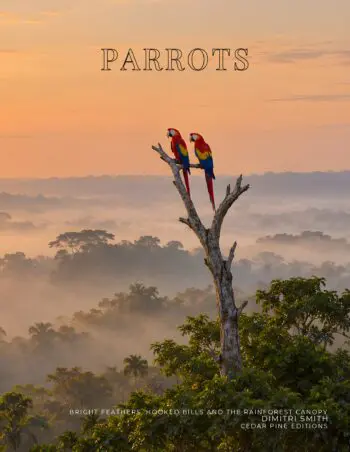 Coffee Table Book of: Parrots (Paperback)
