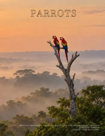 Coffee Table Book of: Parrots (Hardcover)