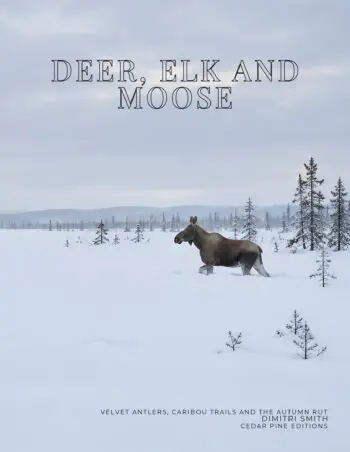 Coffee Table Book of: Deer, Elk and Moose (Paperback)