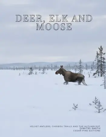 Coffee Table Book of: Deer, Elk and Moose (Hardcover)