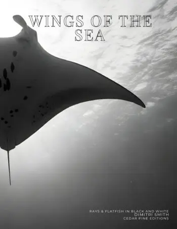 Coffee Table Book of: Wings of the Sea (Hardcover)
