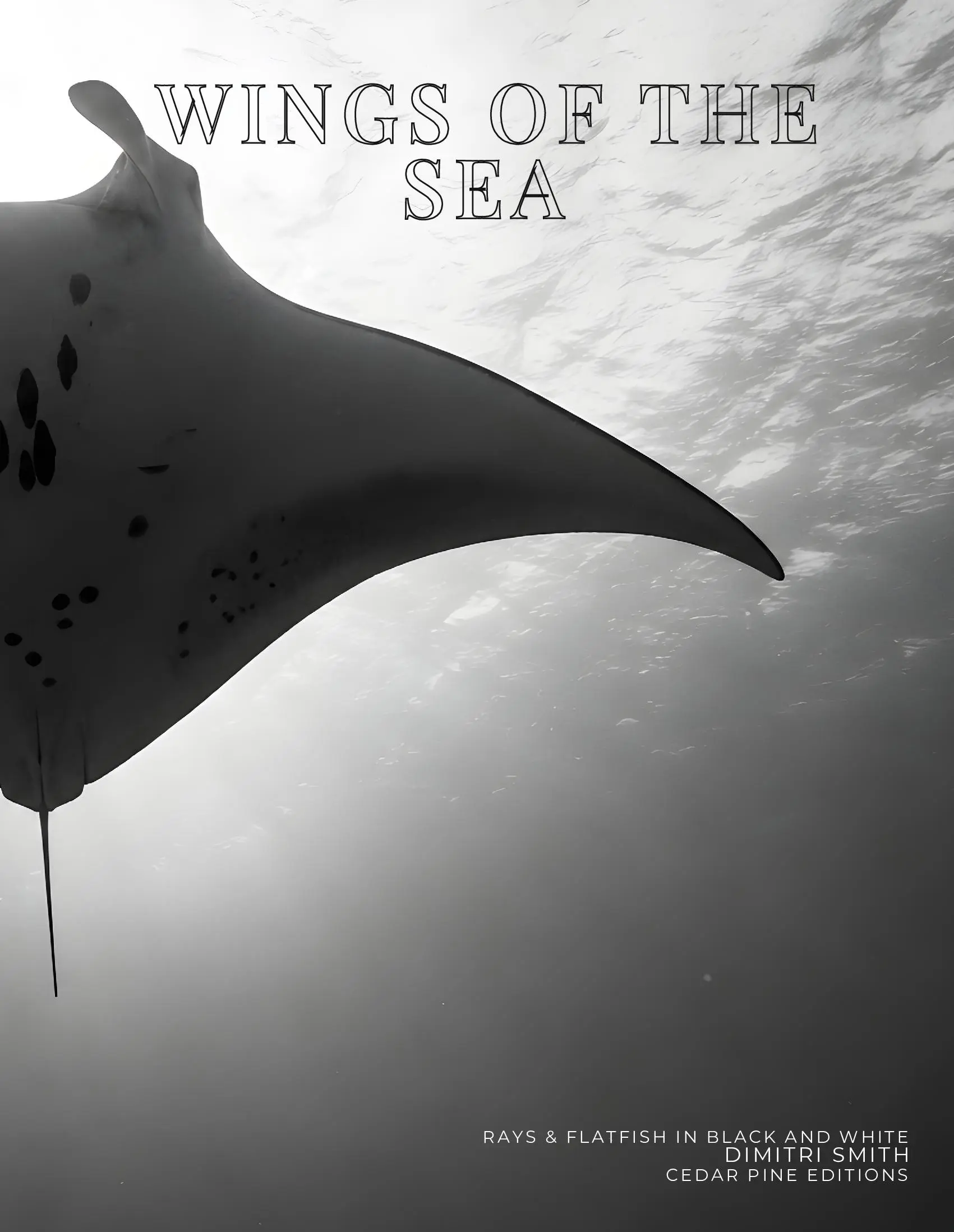 Coffee Table Book of: Wings of the Sea (Hardcover)