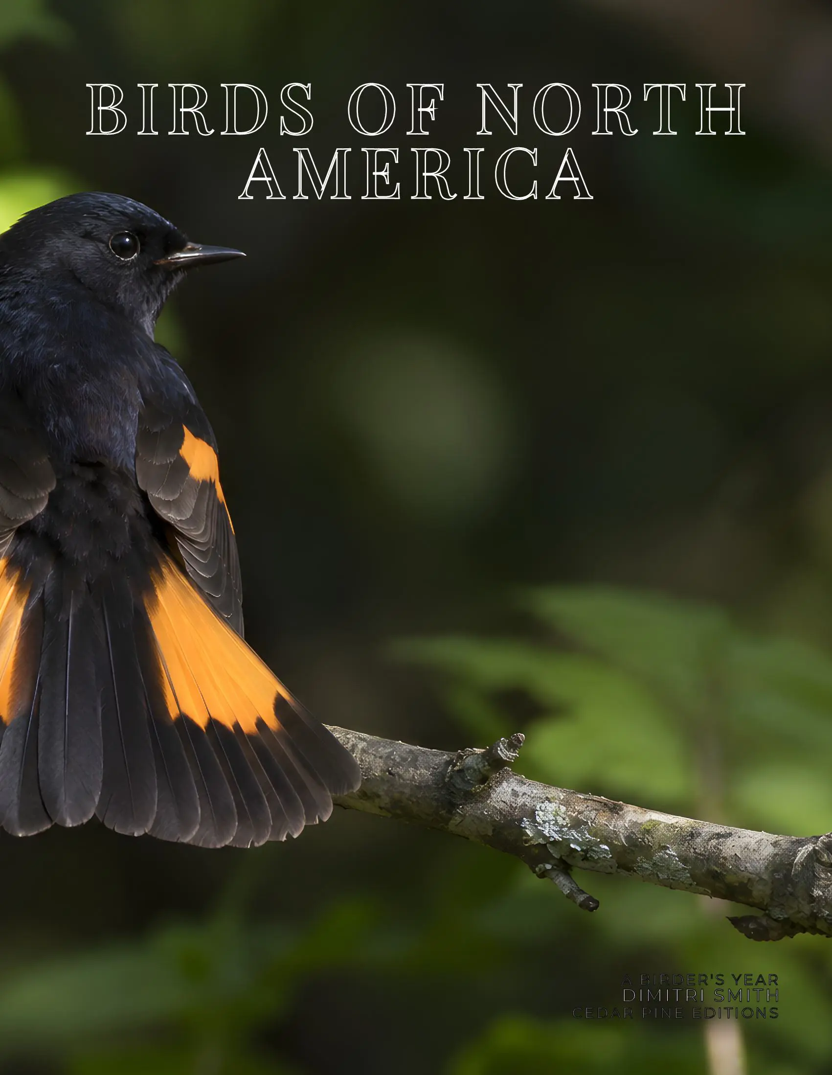 Coffee Table Book of: Birds of North America (Paperback)