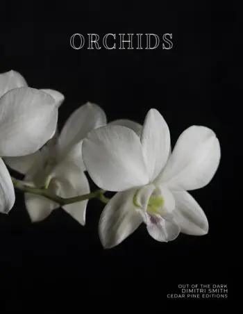 Coffee Table Book of: Orchids (Paperback)