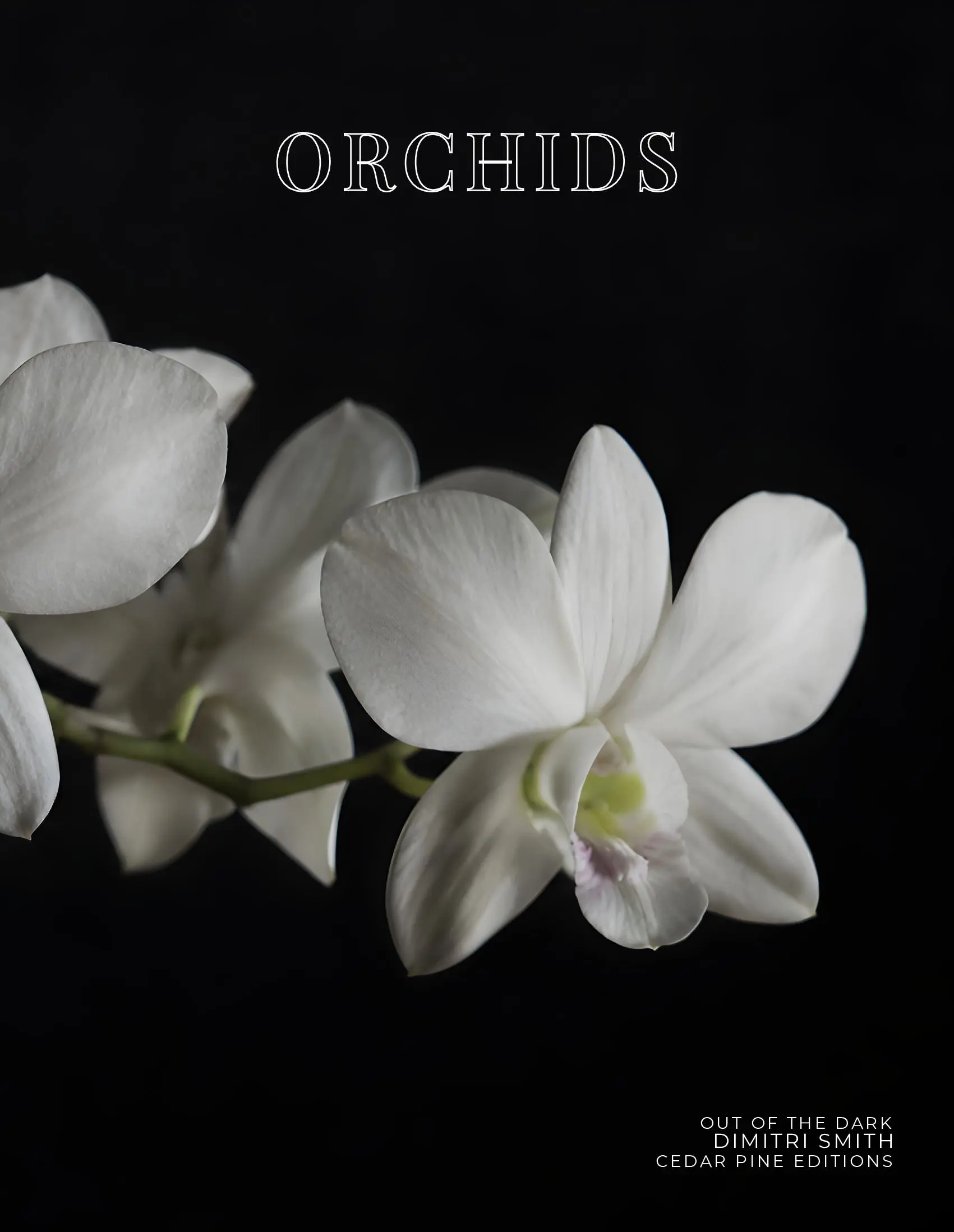 Coffee Table Book of: Orchids (Paperback)