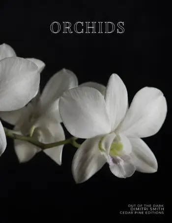 Coffee Table Book of: Orchids (Hardcover)