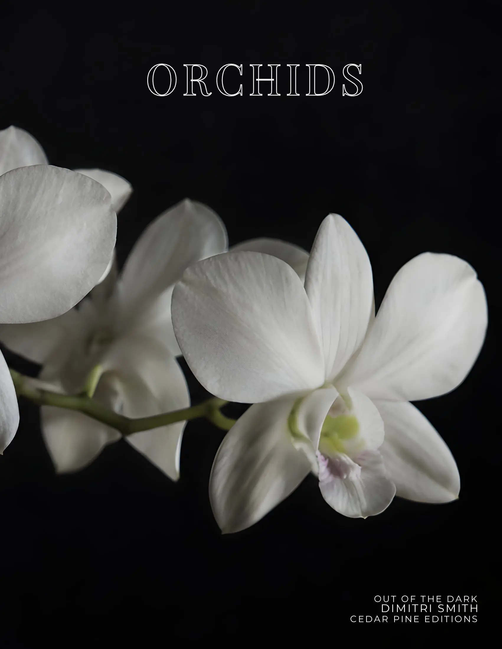 Coffee Table Book of: Orchids (Hardcover)