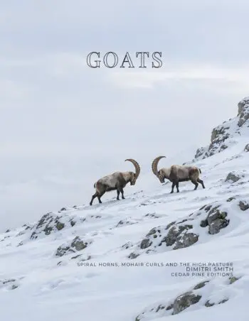 Coffee Table Book of: Goats (Paperback)