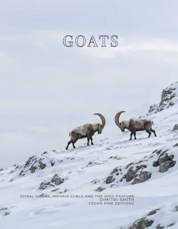 Coffee Table Book of: Goats (Hardcover)