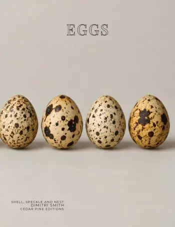 Coffee Table Book of: Eggs (Paperback)