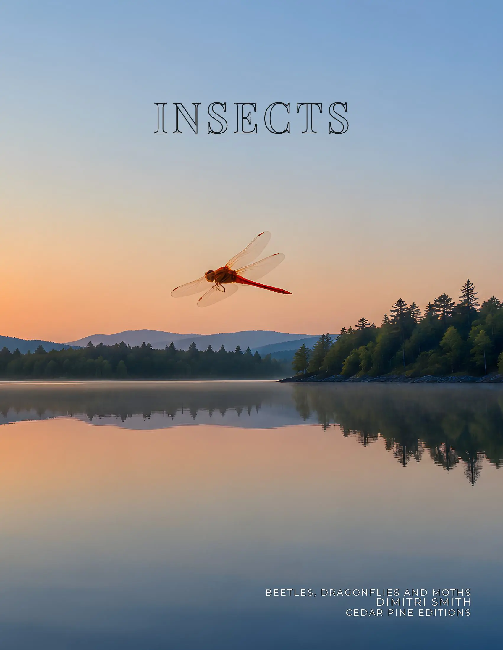 Coffee Table Book of: Insects (Paperback)