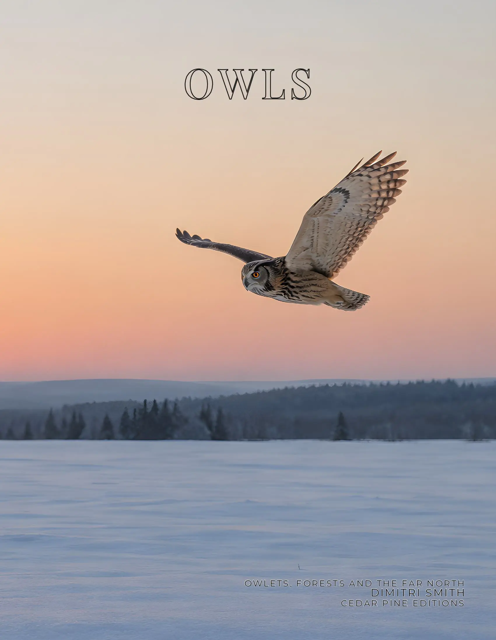 Coffee Table Book of: Owls (Paperback)