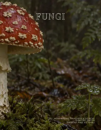 Coffee Table Book of: Fungi (Paperback)
