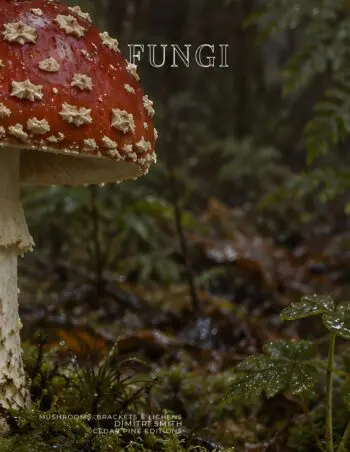 Coffee Table Book of: Fungi (Hardcover)