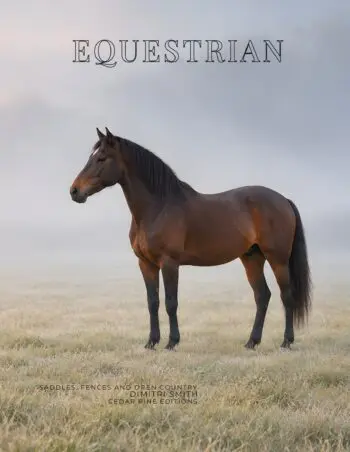 Coffee Table Book of: Equestrian Sport (Hardcover)