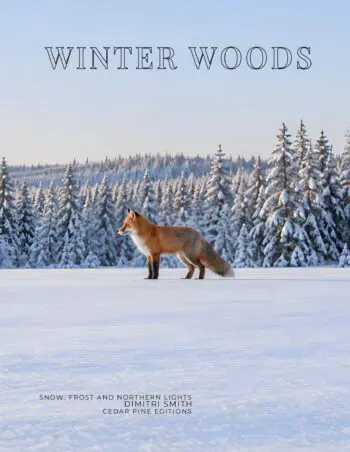 Coffee Table Book of: Winter Woods (Hardcover)