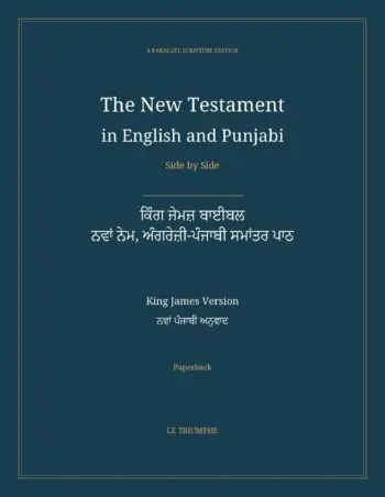 The New Testament in English and Punjabi, Side by Side: ਕਿੰਗ ਜੇਮਜ਼ ਬਾਈਬਲ — ਨਵਾਂ ਨੇਮ, ਅੰਗਰੇਜ਼ੀ-ਪੰਜਾਬੀ ਸਮਾਂਤਰ ਪਾਠ (Paperback)
