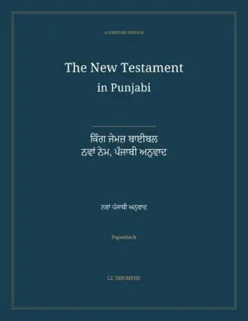 The New Testament in Punjabi: ਕਿੰਗ ਜੇਮਜ਼ ਬਾਈਬਲ — ਨਵਾਂ ਨੇਮ, ਪੰਜਾਬੀ ਅਨੁਵਾਦ (Paperback)