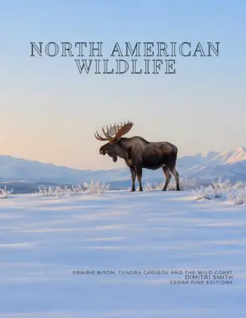 Coffee Table Book of: North American Wildlife (Hardcover)