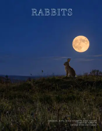 Coffee Table Book of: Rabbits (Hardcover)