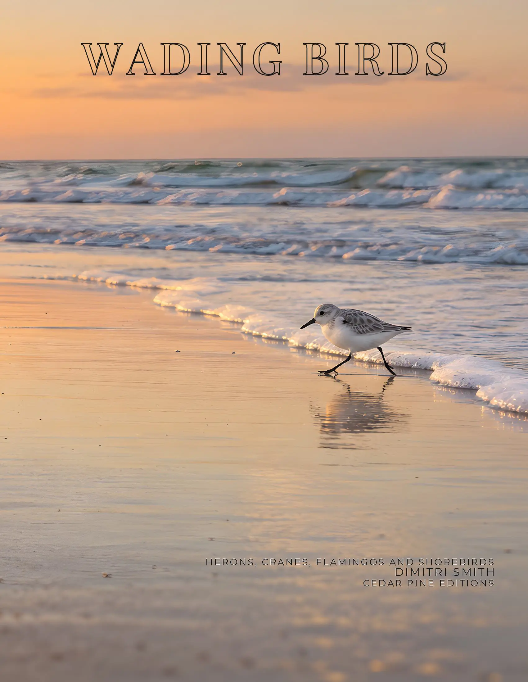 Coffee Table Book of: Wading Birds (Paperback)
