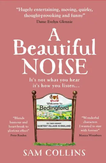 A Beautiful Noise