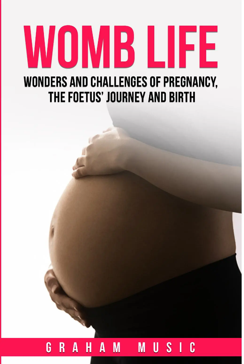 Womb Life: Wonders and challenges of pregnancy, the foetus' journey and birth