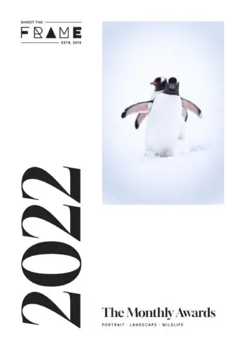 Shoot The Frame: The 2022 Monthly Awards
