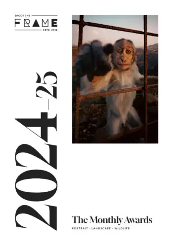 Shoot The Frame: The 2024-2025 Monthly Awards