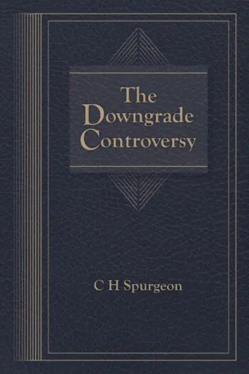 The Downgrade Controversy