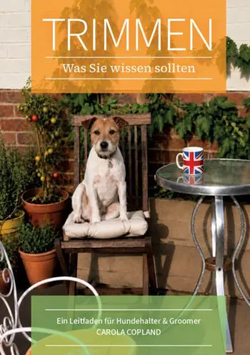 Trimmen - Was Sie Wissen sollten