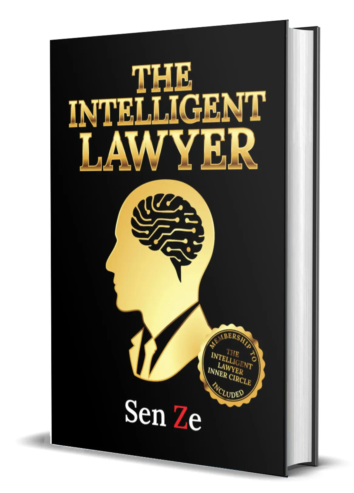 The Intelligent Lawyer