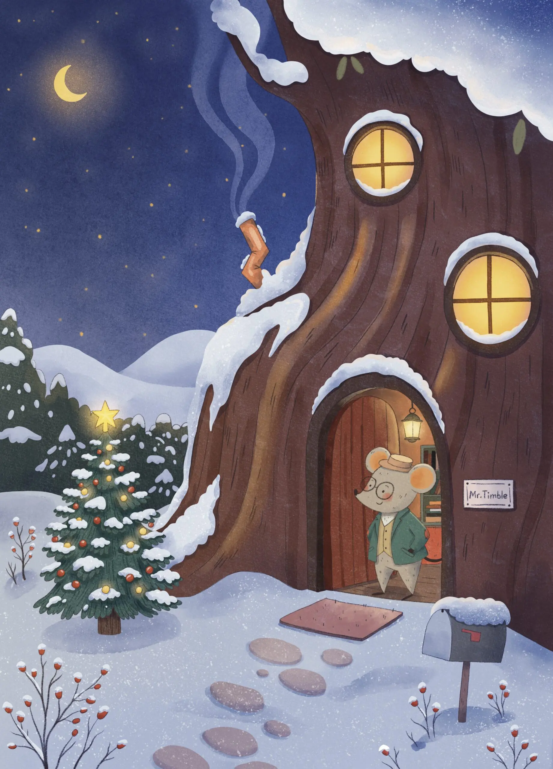 Mr Timble and the Missing Christmas Gift