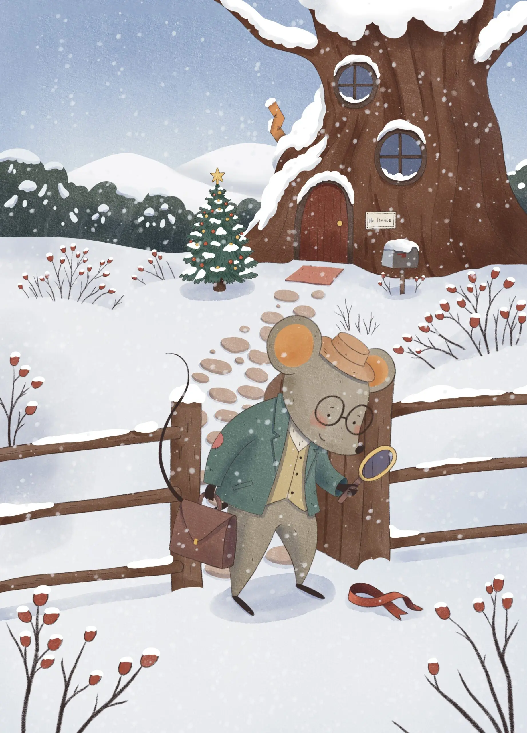 Mr Timble and the Missing Christmas Gift