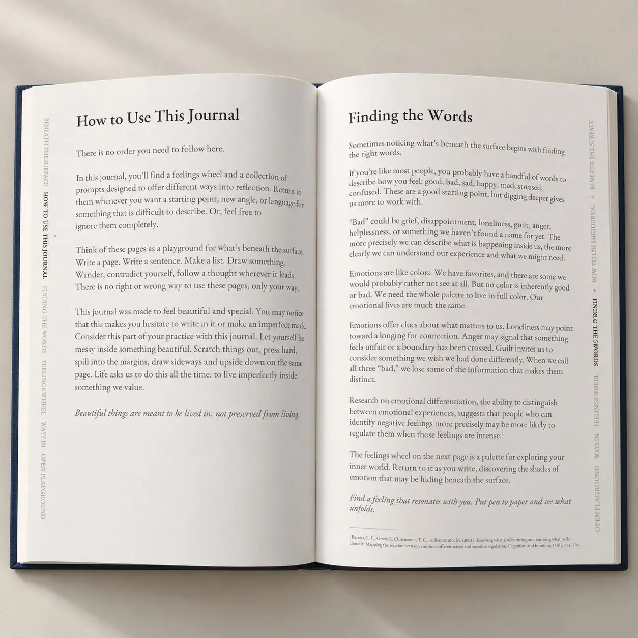The Hidden Interval: A Guided Journal for Reflection and Self-Discovery