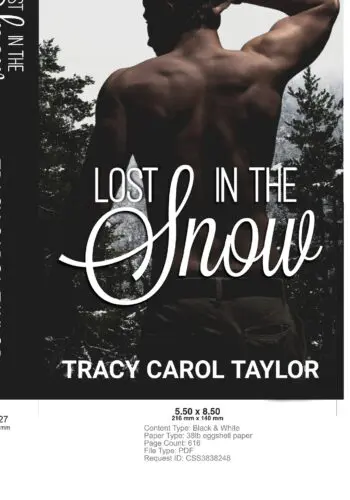 Lost in the Snow
