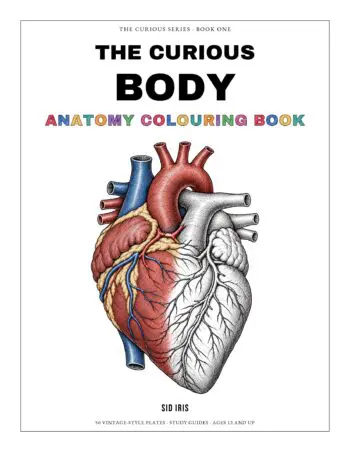 The Curious Body