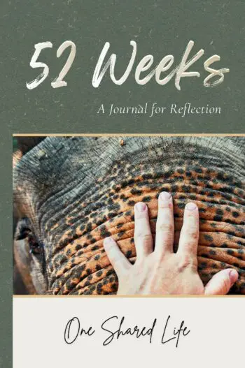 52 Weeks