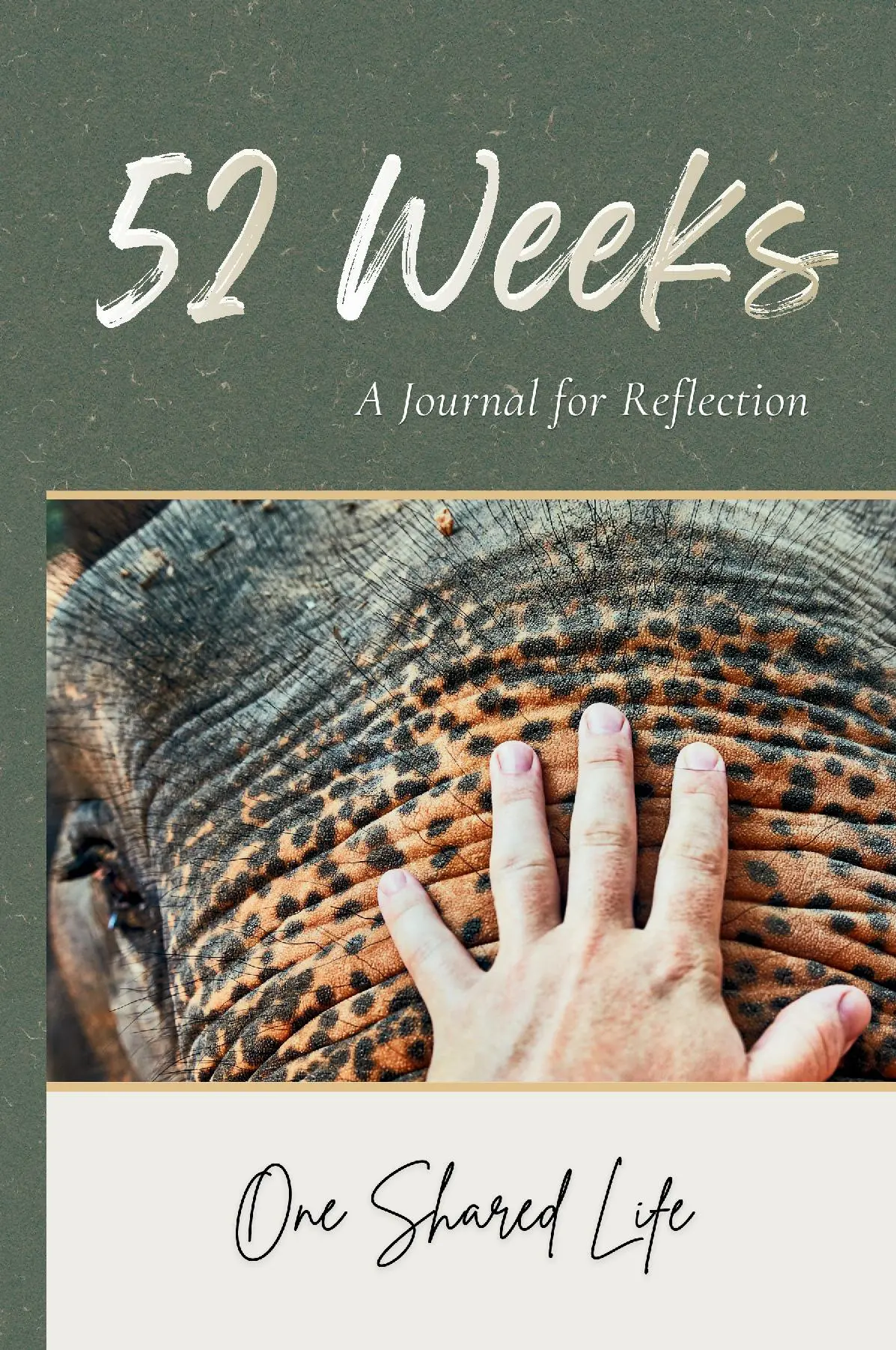 52 Weeks