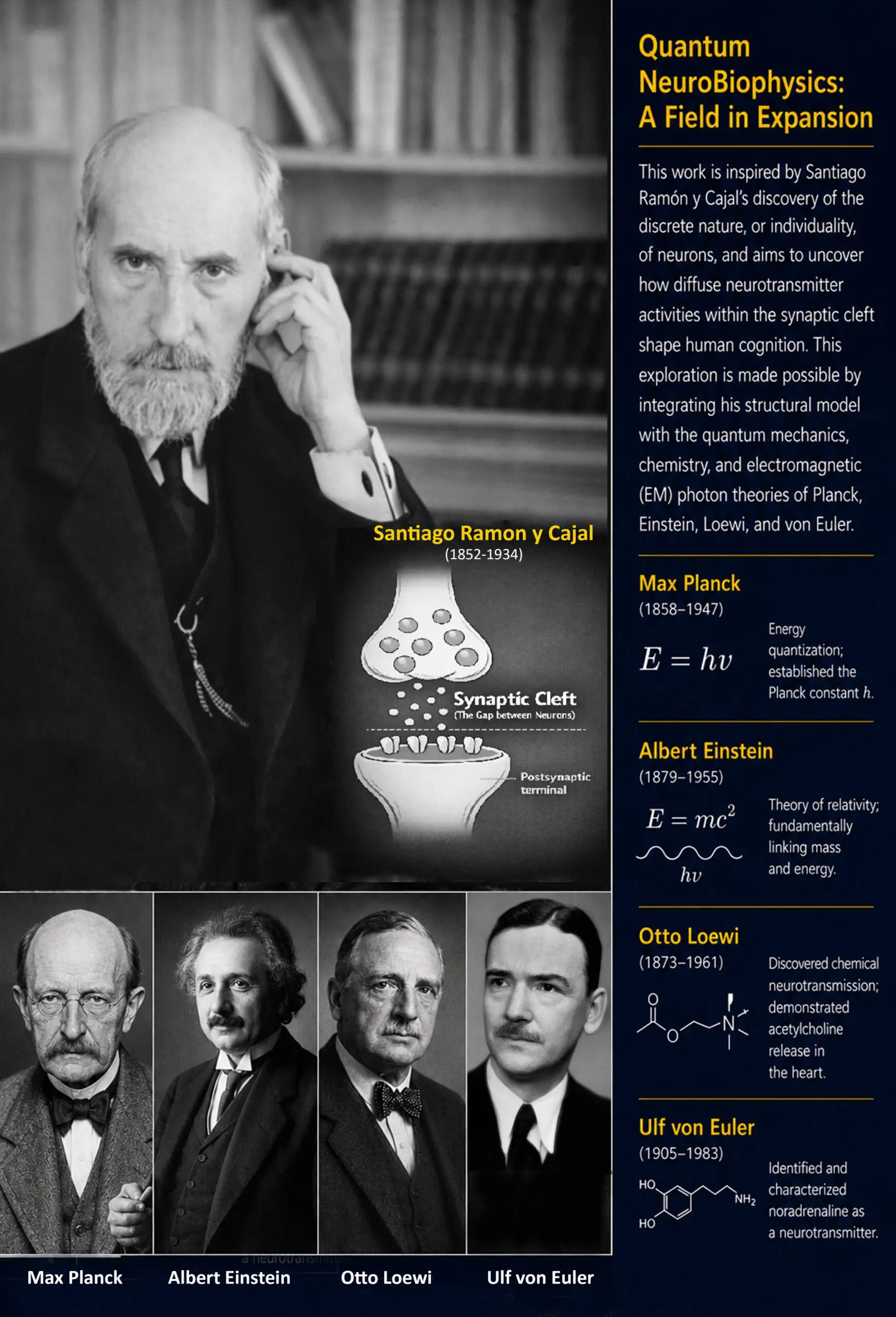 The Theory of NeuroPhotons