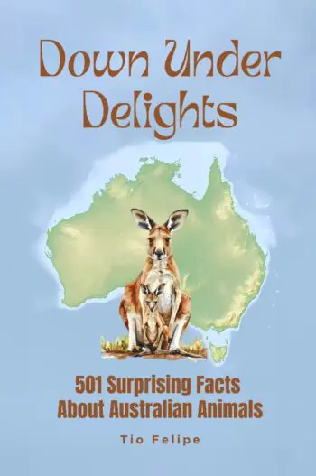 Down Under Delights