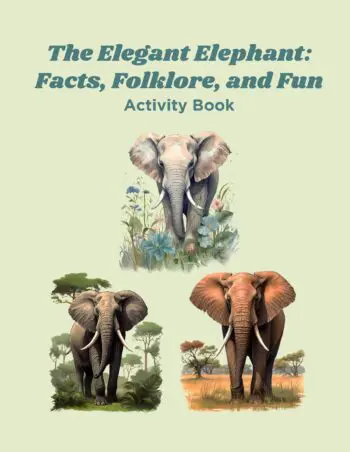 The Elegant Elephant