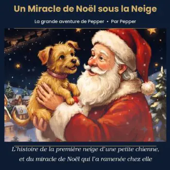 Un-Miracle-de-Noel-sous-la-Neige