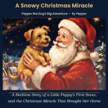 A Snowy Christmas MIracle