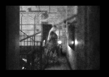 Web - 277299