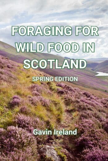 Foraging for Wild Food in Scotland - Spring Edition