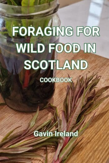 Foraging for Wild Food in Scotland - Cookbook